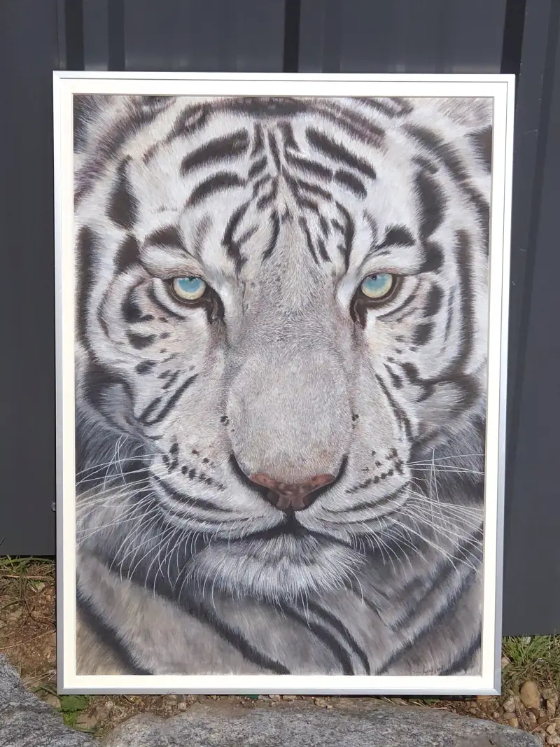 백호그림,색연필동물그림