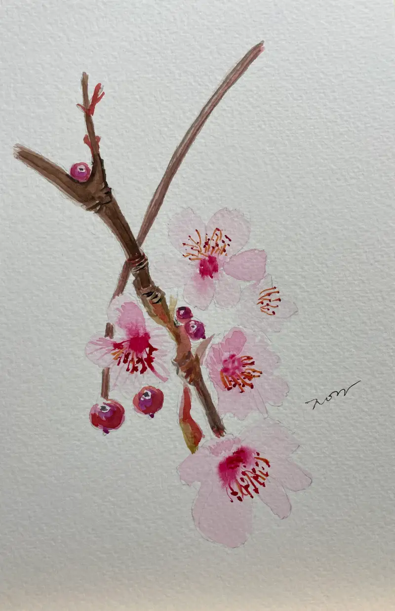 화방넷,드로잉로그7기