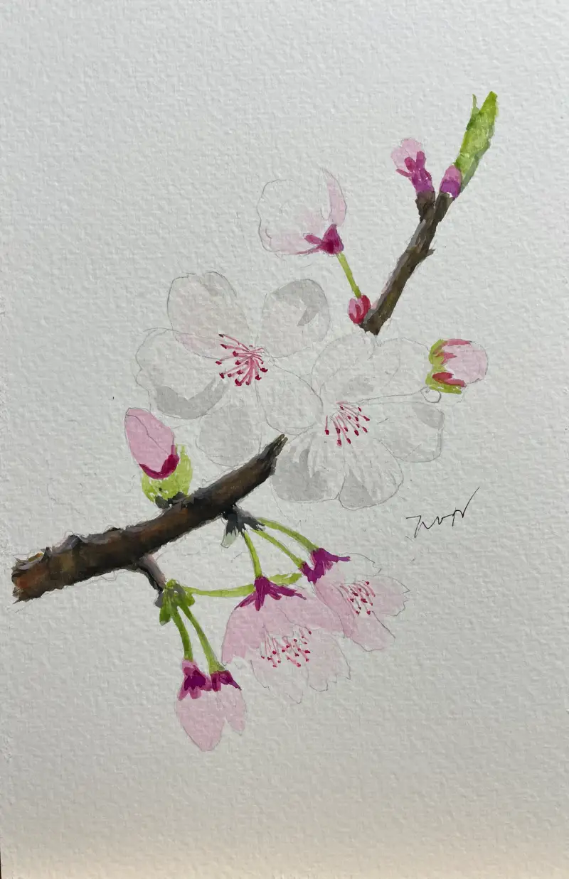 화방넷,드로잉로그7기