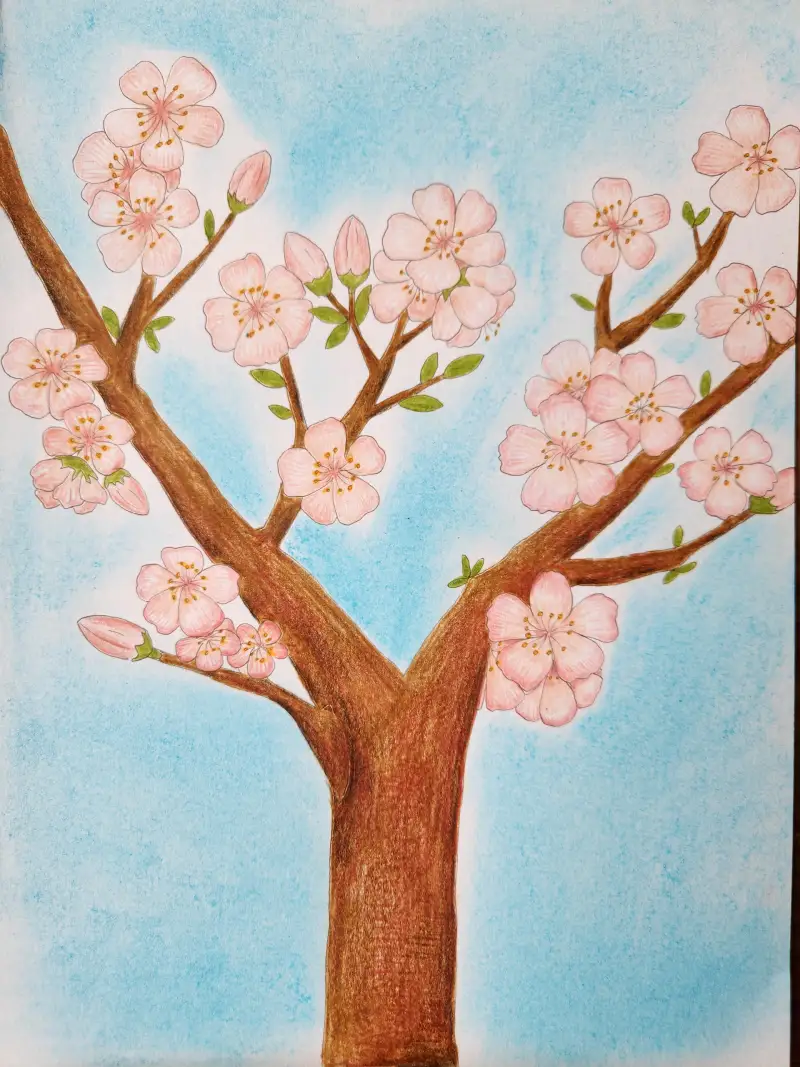 드로잉로그,화방넷,Faber,색연필,문교파스텔