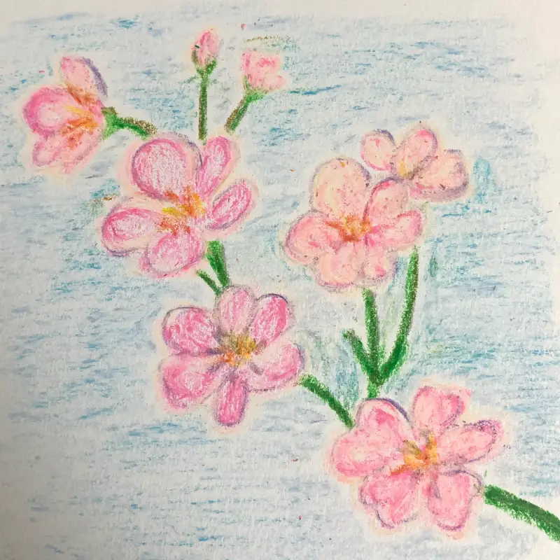 더웬트,오일파스텔