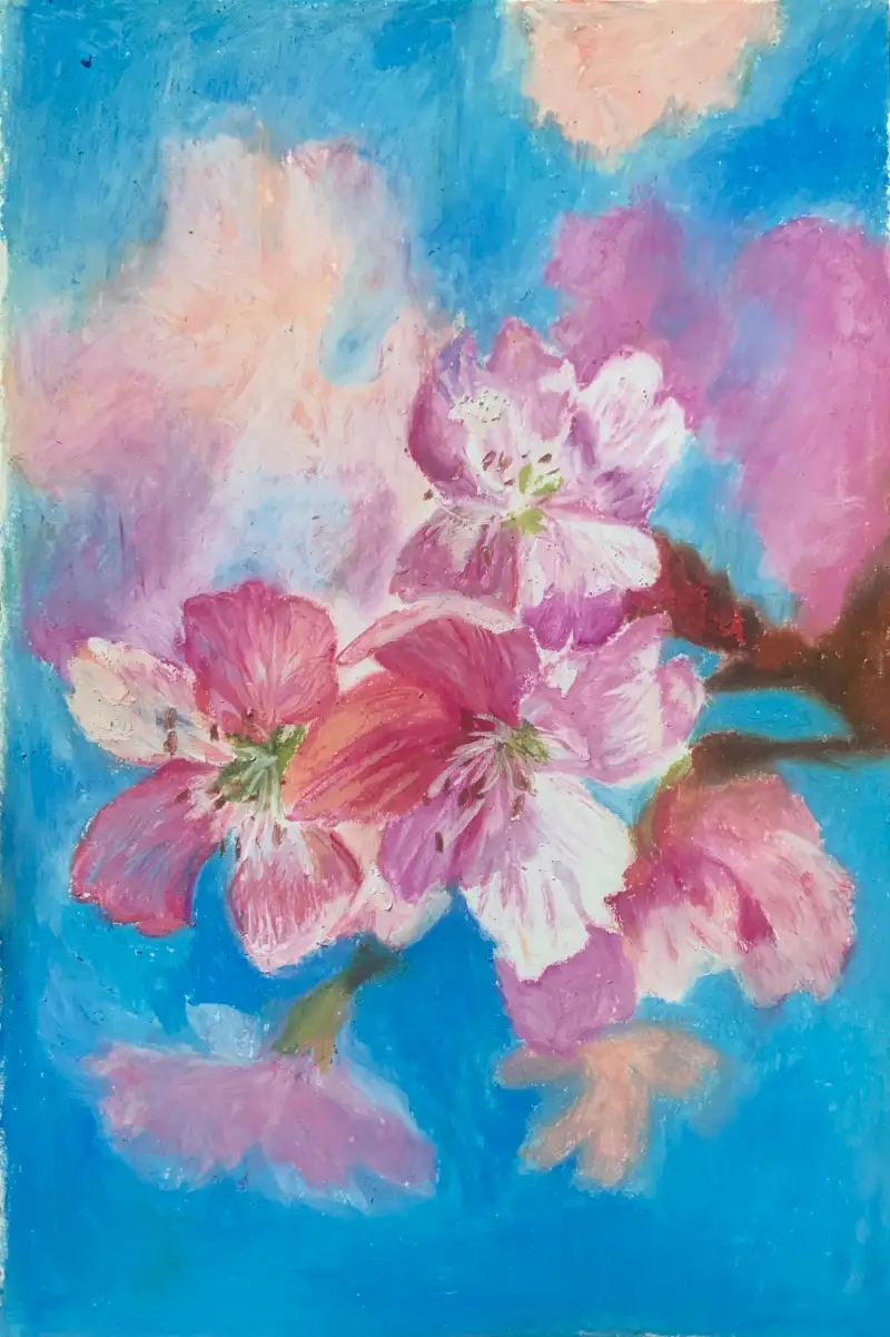 화방넷드로잉로그,벚꽃,드로잉로그7기,문교오일파스텔