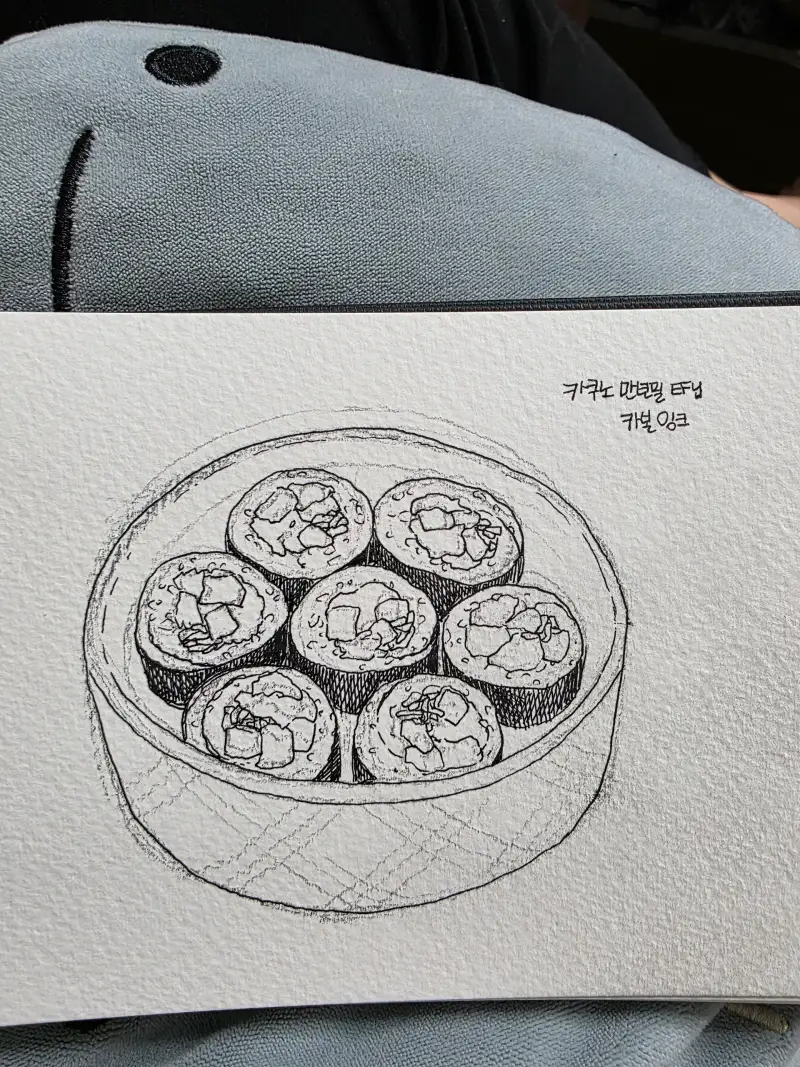 스테들러780c,카쿠노만년필ef,카본잉크