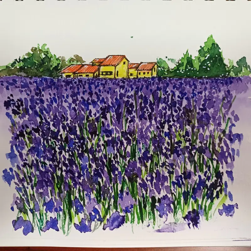 화방넷드로잉로그,3주차,노래