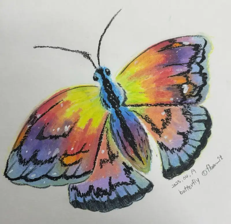오일파스텔,나비,드로잉로그7기