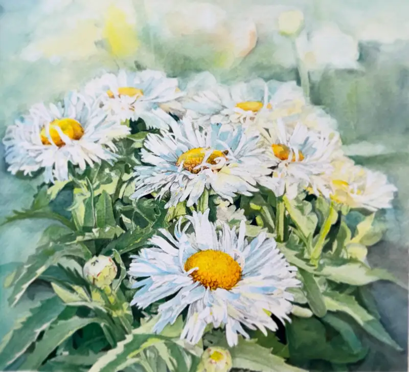 홀베인,홀베인수채화과슈,수채화과슈,과슈,홀베인수채화붓,홀베인아크릴붓,불투명수채화