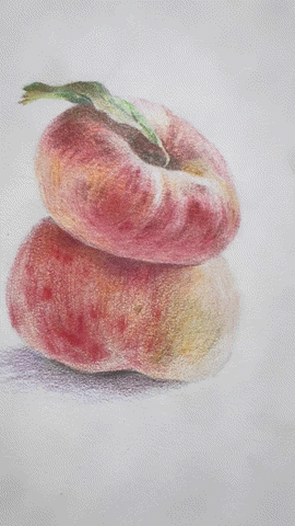 오일베이스유성색연필