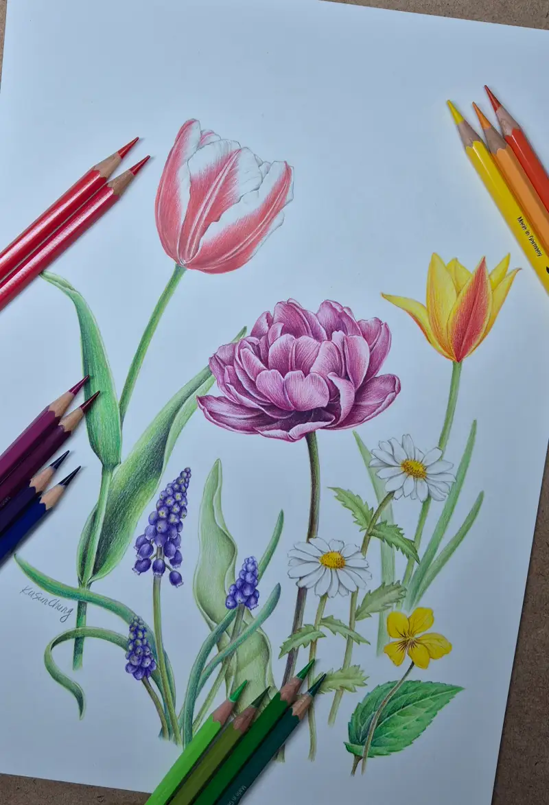 파버카스텔,화방넷체험단,파버카스텔알버트뒤러,수채색연필,보타니컬아트,보태니컬아트,꽃그림