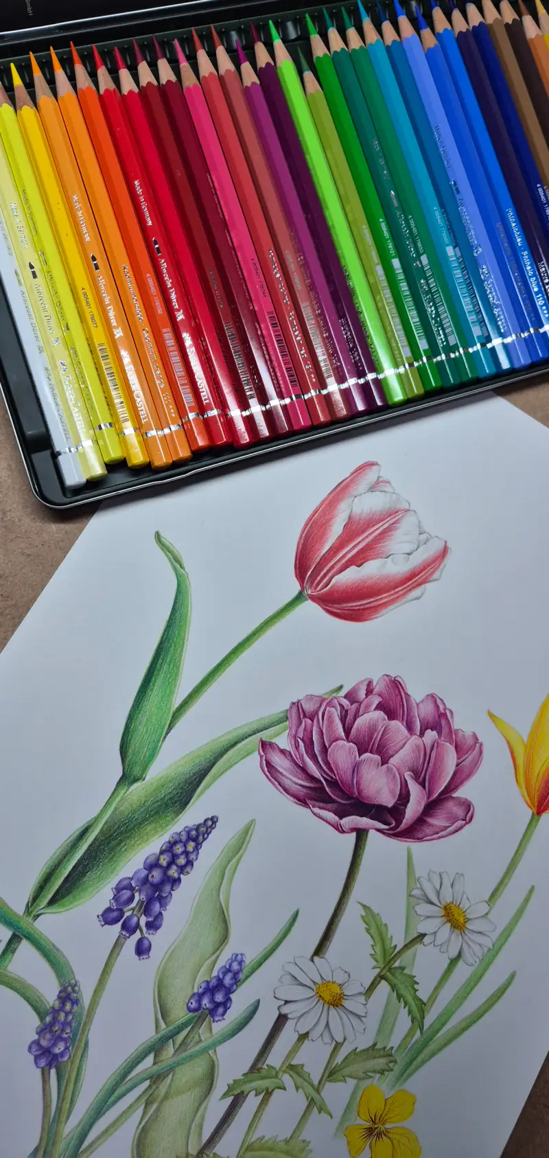 파버카스텔알버트뒤러