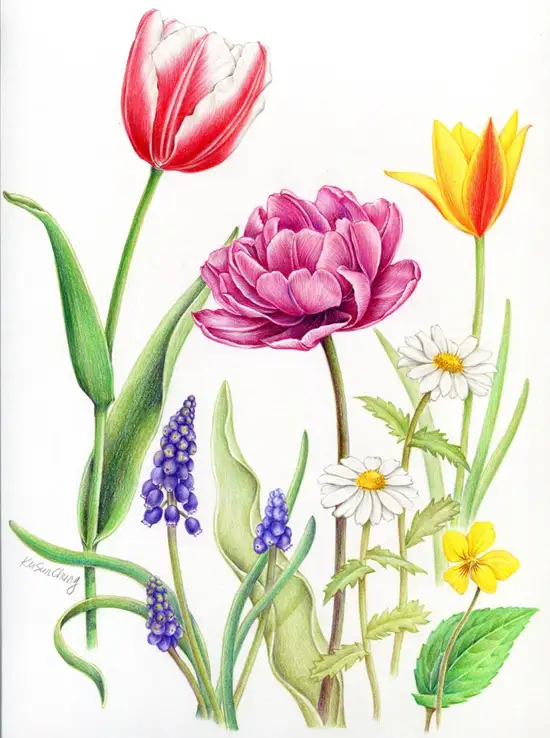 파버카스텔알버트뒤러