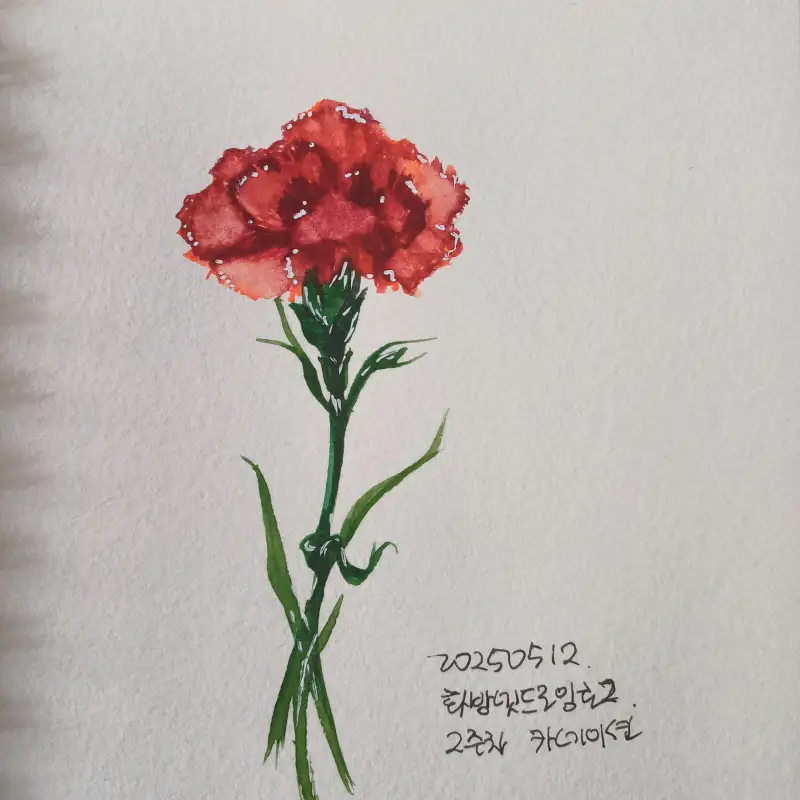화방넷드로잉로그,2주차,카네이션