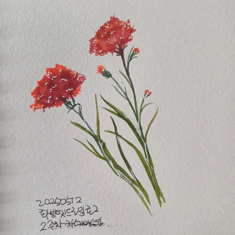 화방넷드로잉로그,2주차,카네이션그리기