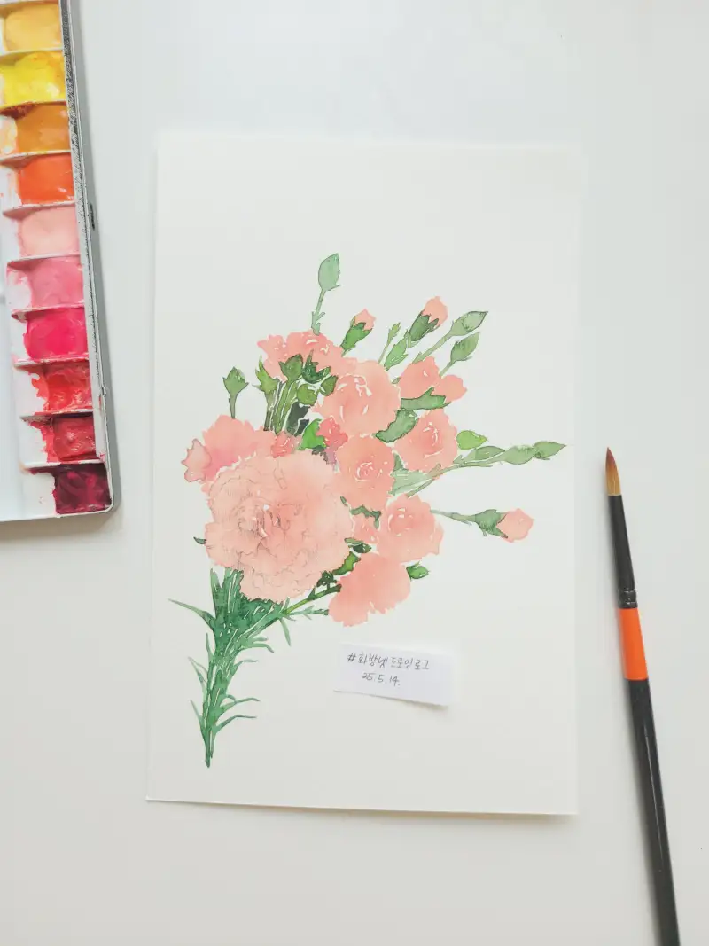 카네이션,수채화,드로잉
