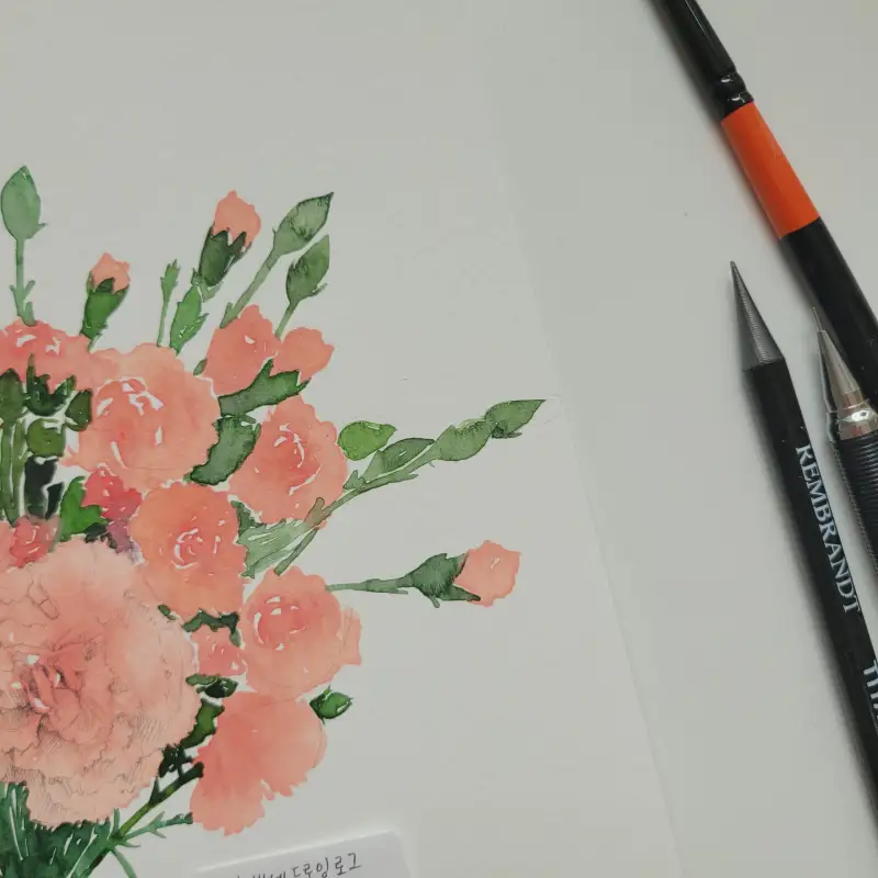 카네이션,수채화,캔손300