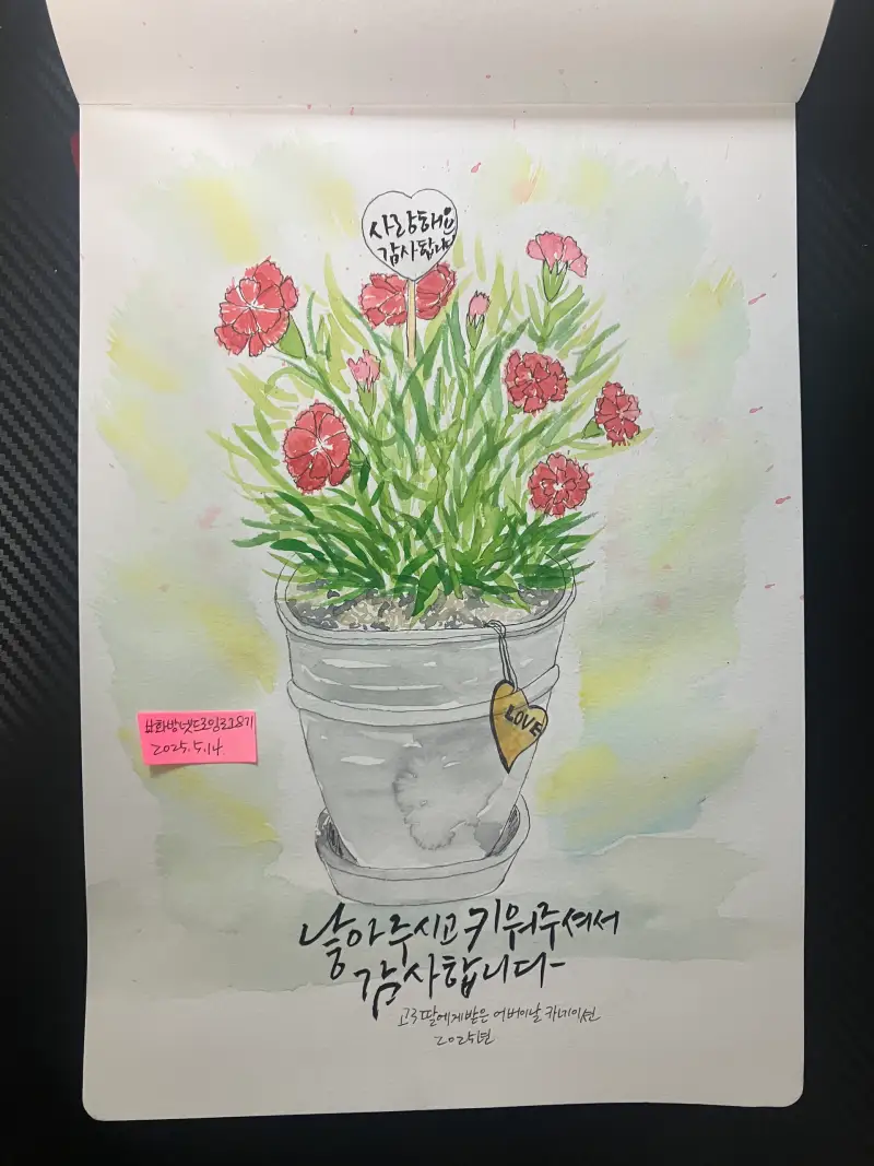 화방넷드로잉로그8기,드로잉로그8기카네이션1,드로잉로그8기,카네이션1,카네이션그리기