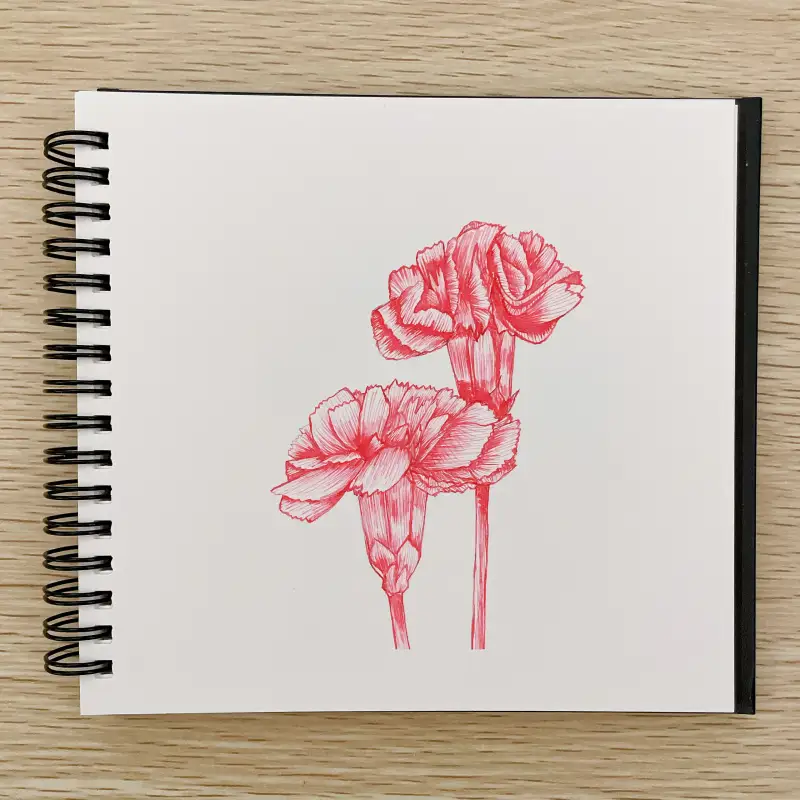 타치가와,마루펜촉