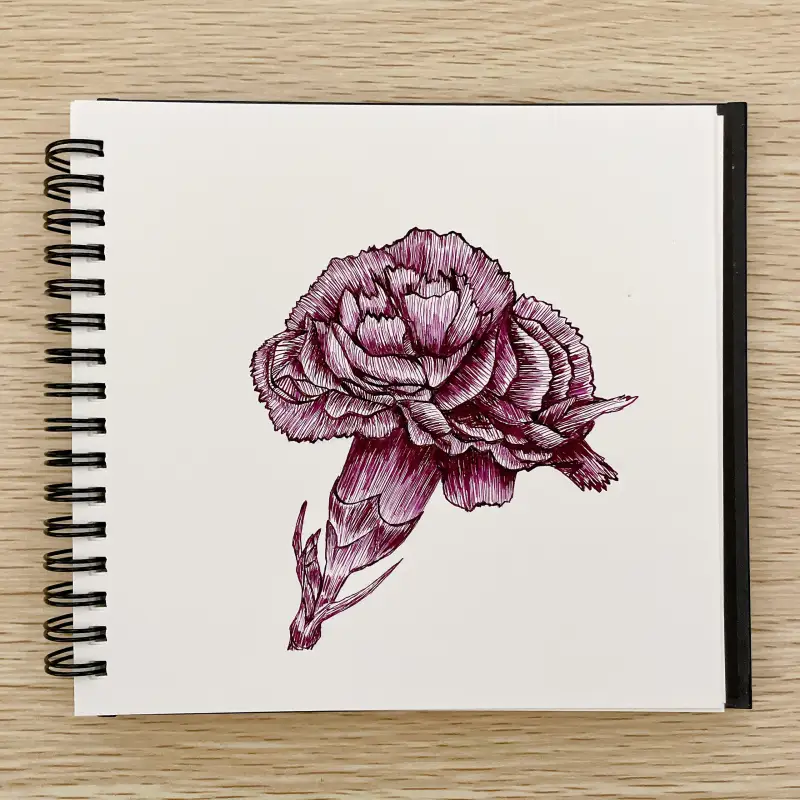 타치가와,마루펜촉