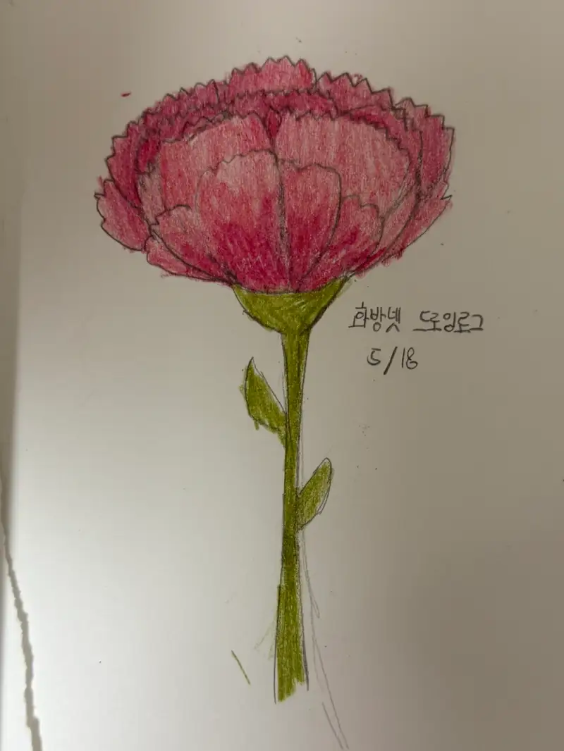 화방넷,드로잉로그,카네이션