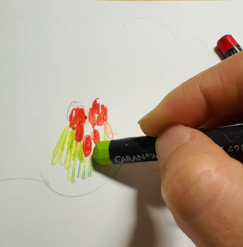 장미,오파,오일파스텔