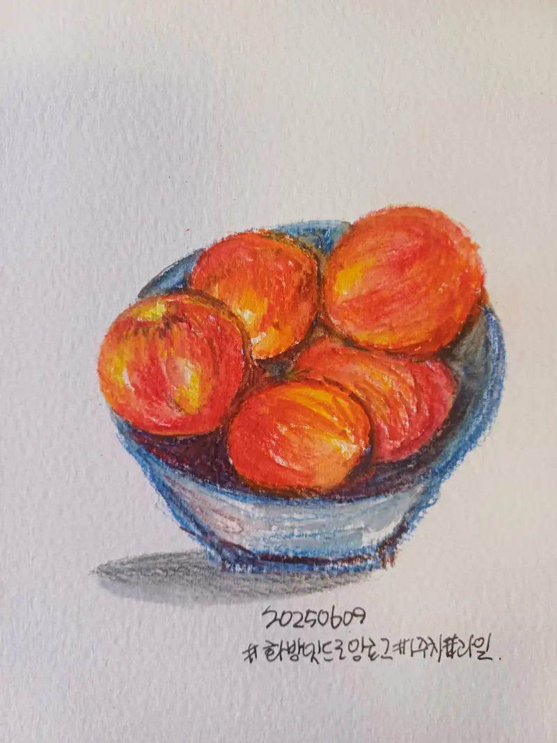 화방넷드로잉로그,1주차,과일