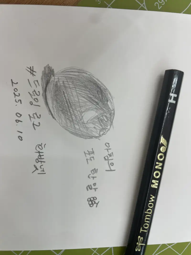 드로잉로그,화방넷,연필화,과일