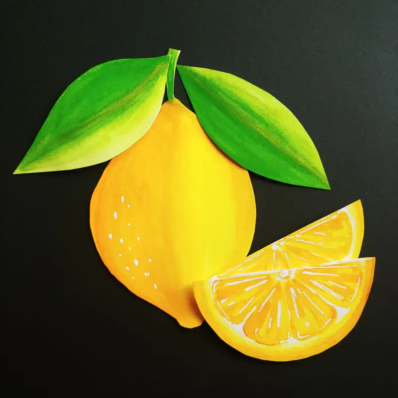 화방넷드로잉로그