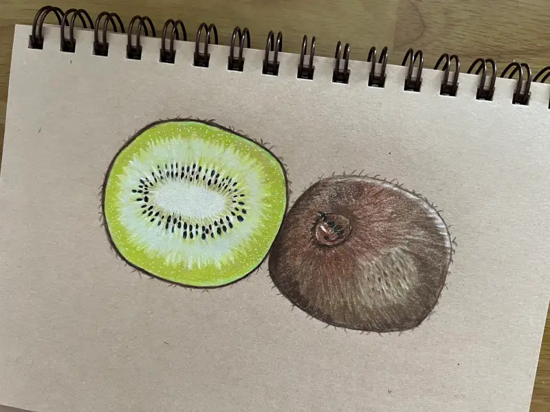 색연필드로잉,화방넷