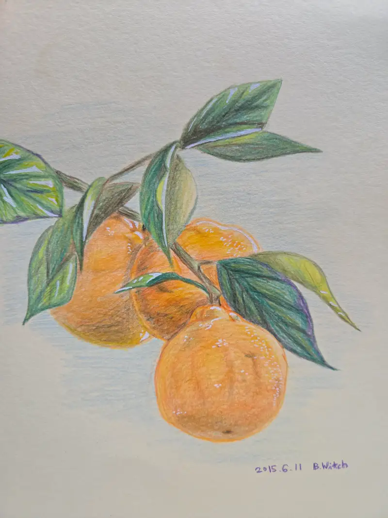 까렌다쉬,까렌다쉬색연필,스위스컬러,유성색연필