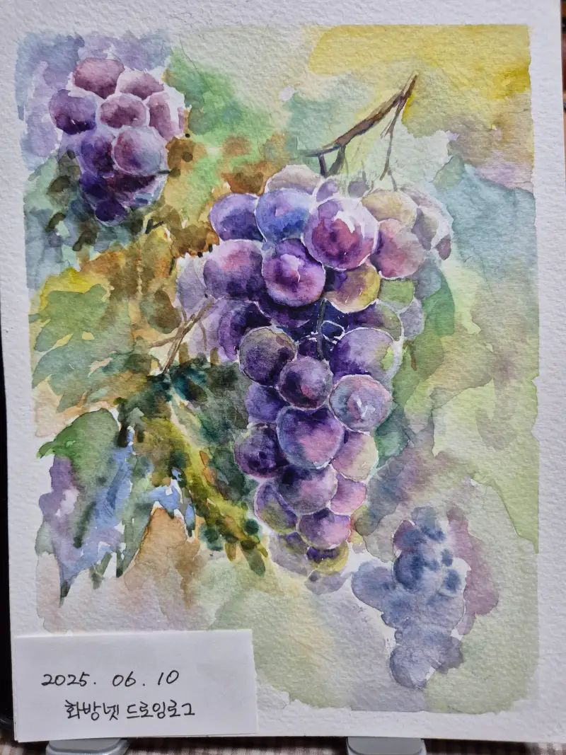 화방넷드로잉로그