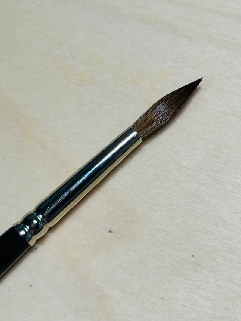 콜린스키,라파엘콜린스키,콜린스키8404,자연모