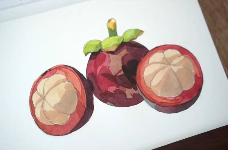 미젤로과슈,미젤로티타늄클래스,아띠스띠꼬,화방넷드로잉로그