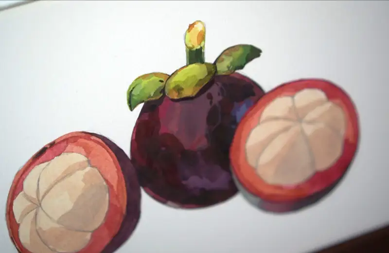 미젤로과슈,미젤로,미젤로티타늄클래스,화방넷드로잉로그