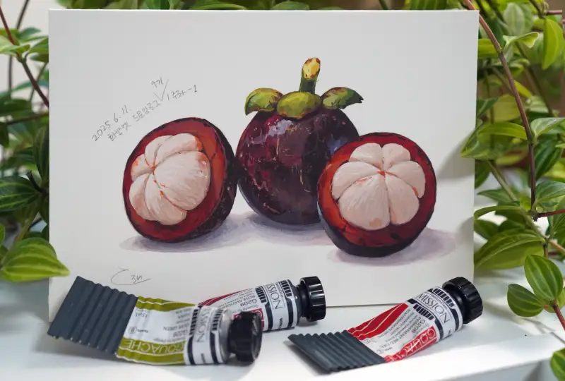 미젤로과슈,미젤로티타늄클래스,아띠스띠꼬세목