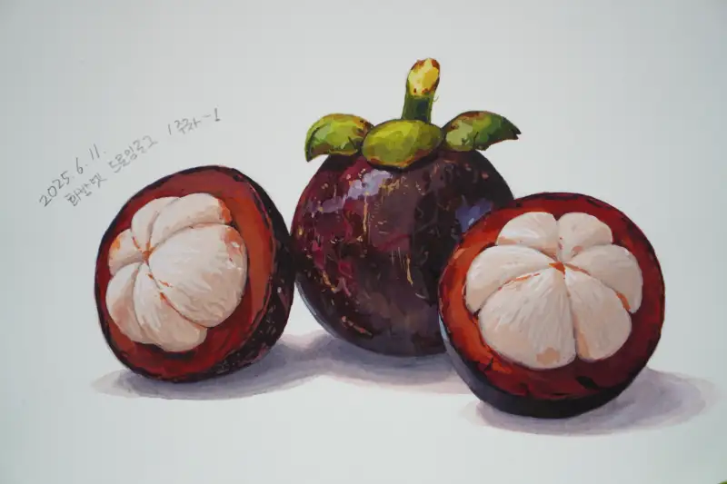 미젤로과슈,미젤로,미젤로티타늄클래스,화방넷드로잉로그