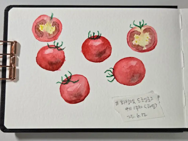 드로잉로그,과일,드로잉로그9기,미젤로골드미션,세르지오저널북