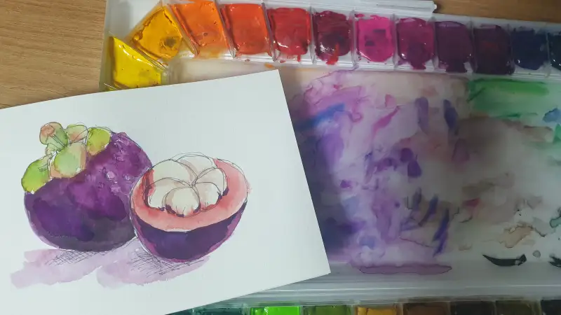 캔손엽서패드,미젤로과슈