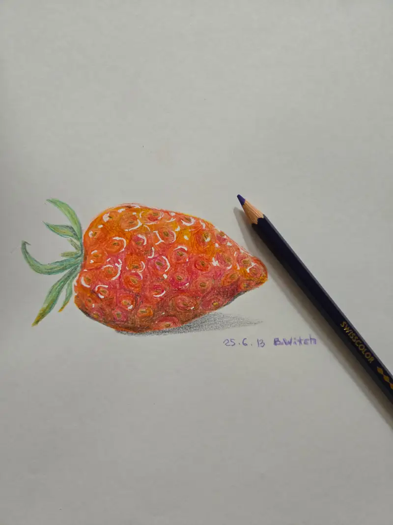 까렌다쉬,까렌다쉬색연필,스위스컬러