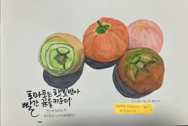 화방넷드로잉로그9기1주차과일2,드로잉로그9기,드로잉로그9기과일그리기2