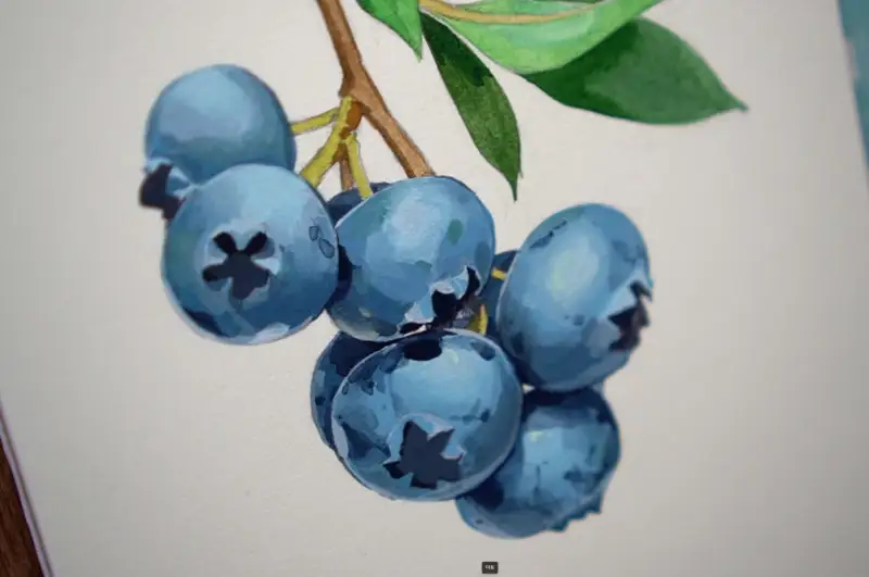 화방넷드로잉로그,미젤로과슈,과슈