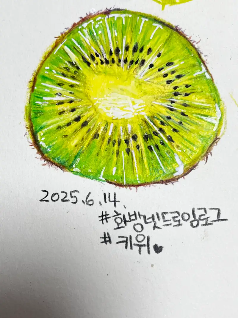 화방넷드로잉로그,프리즈마유성색연필