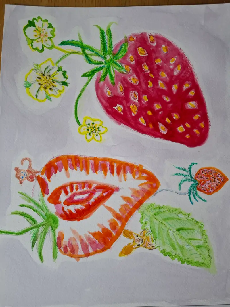 드로잉로그,과일2,딸기