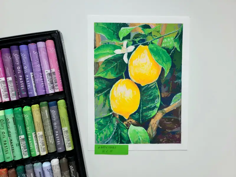 문교,오일파스텔,레몬