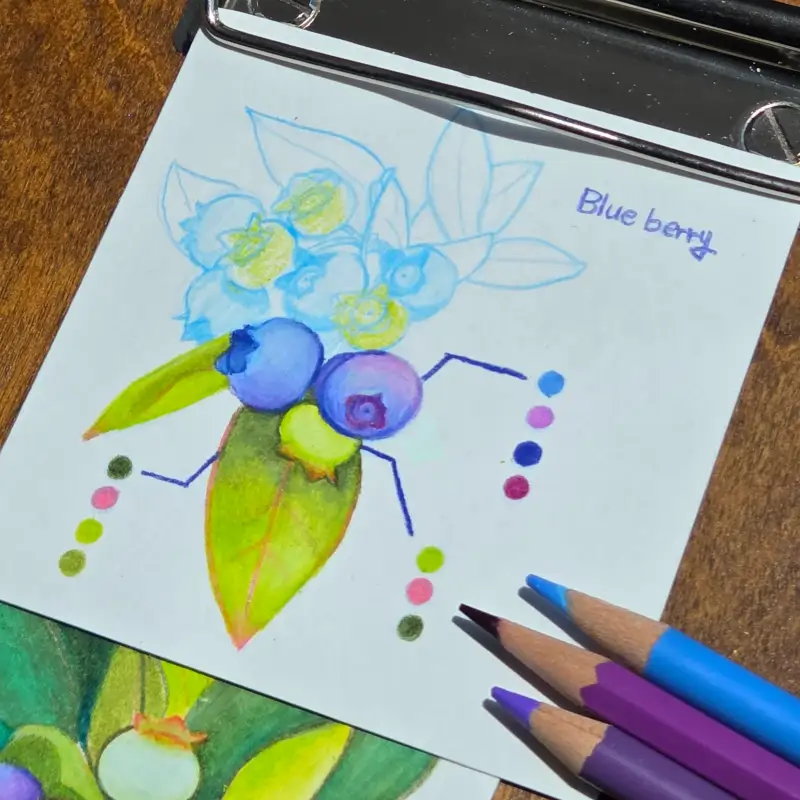 프리즈마,색연필