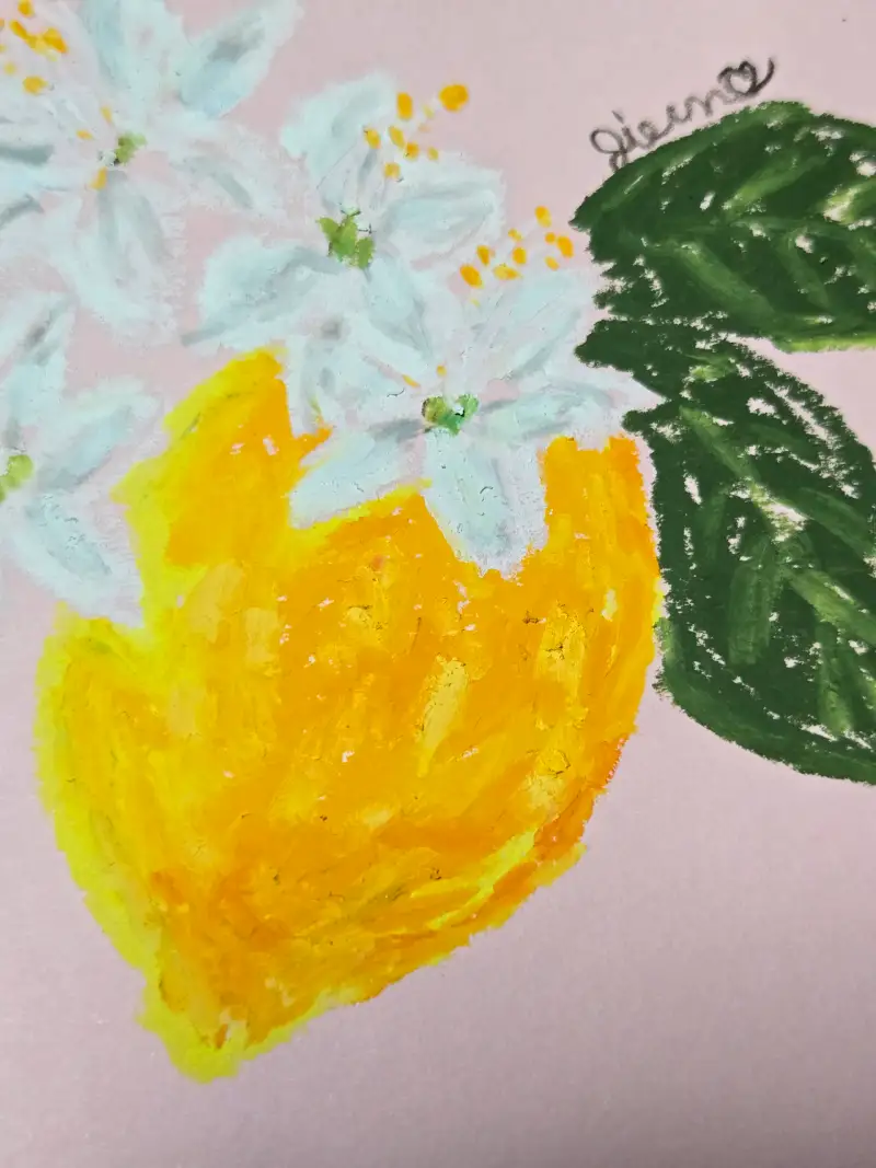 화방넷드로잉로그,드로잉로그,레몬,과일