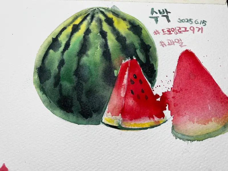 수박,드로잉로그,수채화,홀베인수채물감,이사베이,캔손헤리티지황목
