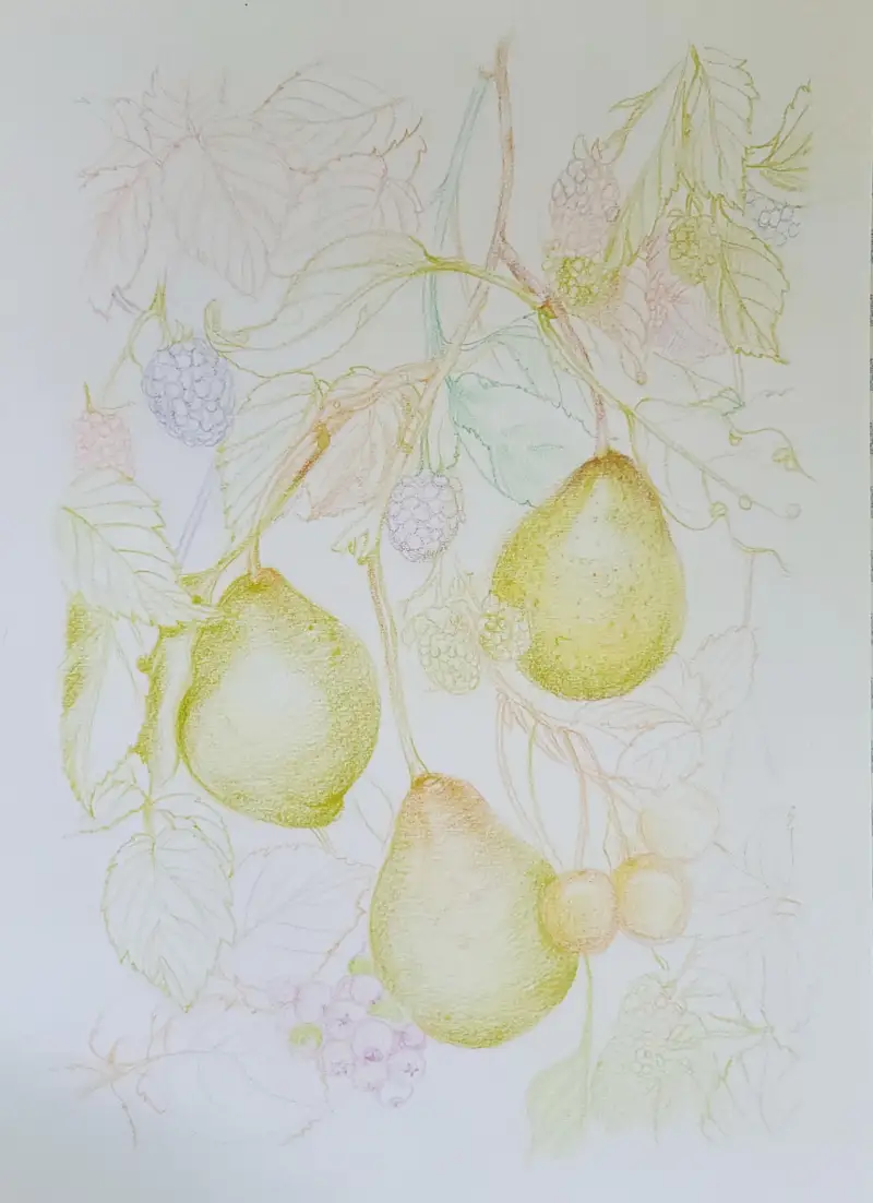 화방넷드로잉로그,과일그리기,색연필화