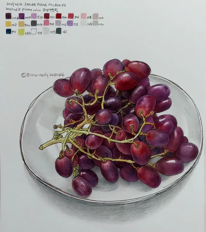 화방넷드로잉로그,프리즈마유성색연필,사쿠라미크론펜