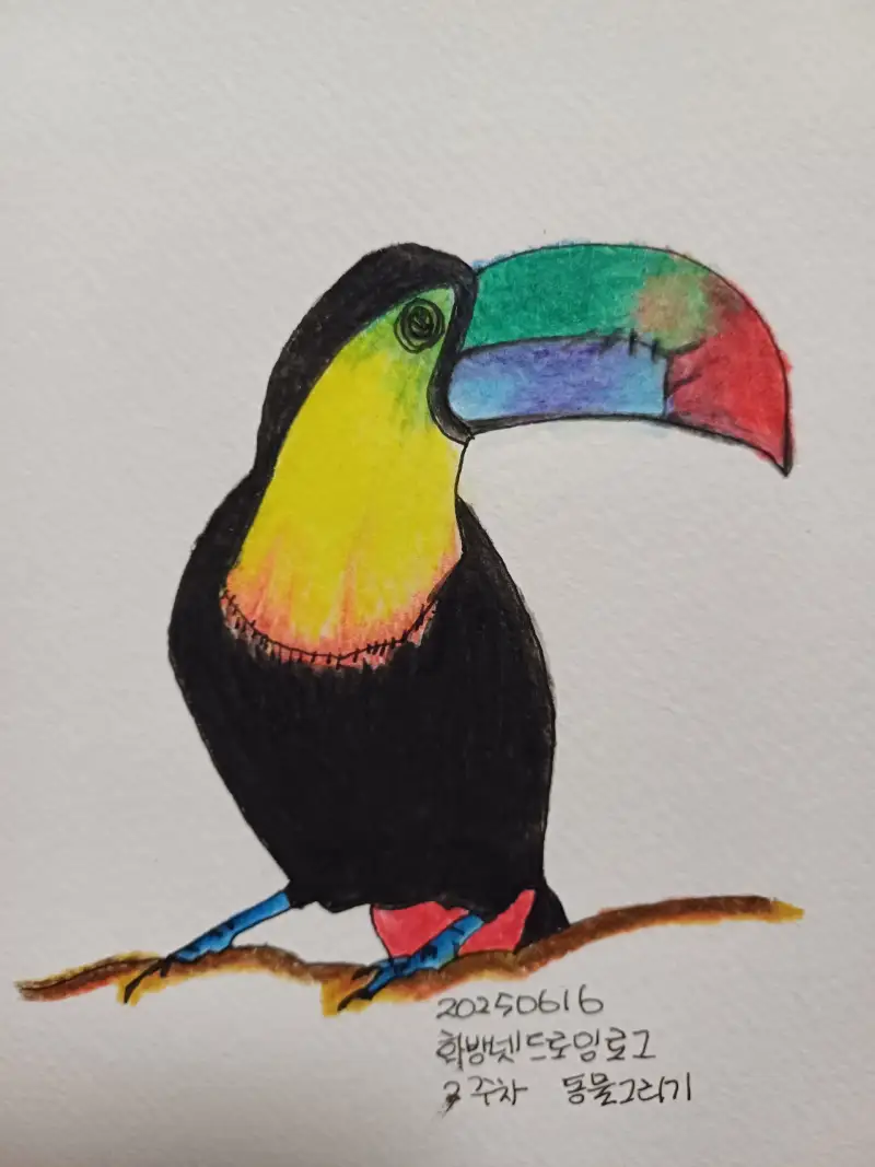 화방넷드로잉로그,2주차,동물