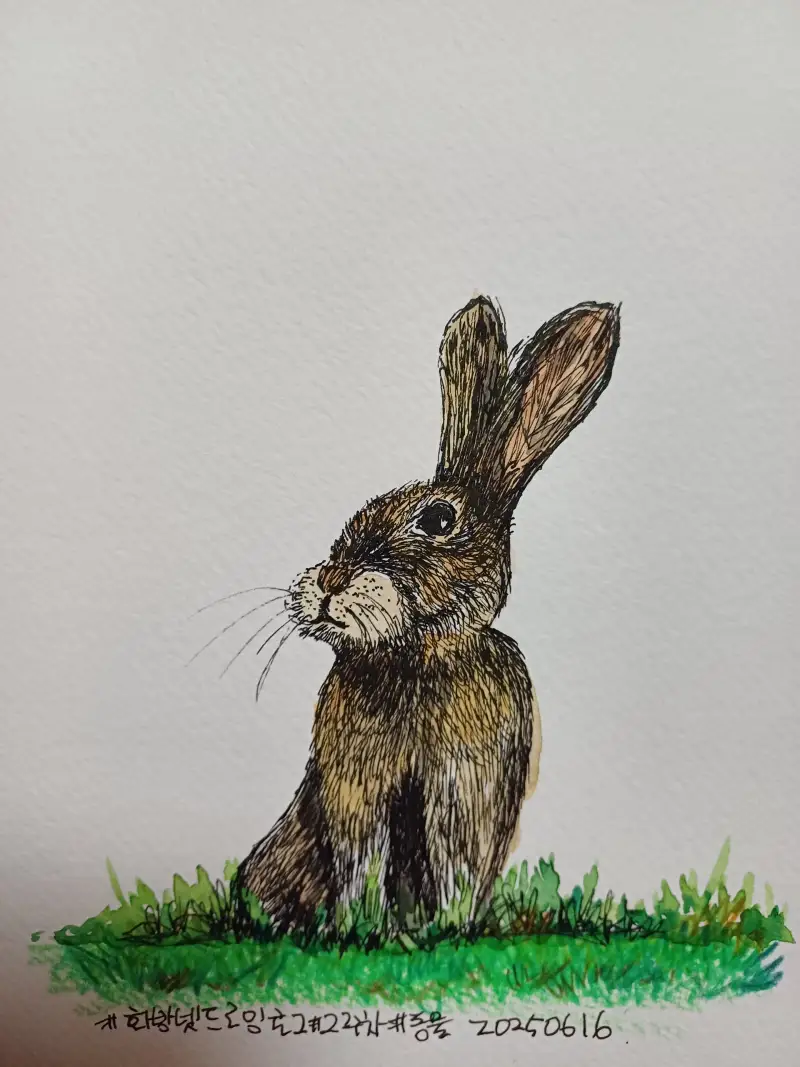 화방넷드로잉로그,2주차,동물