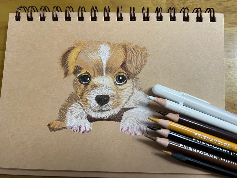 화방넷,화방넷드로잉로그,동물그리기,색연필드로잉